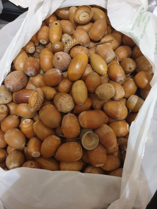 Материал для поделок