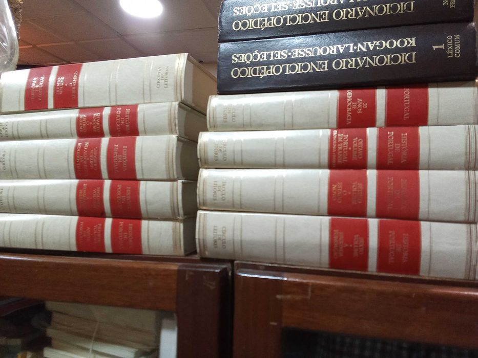 Livros 2.732, diversos, alguns raros e antigos, diversos autores,