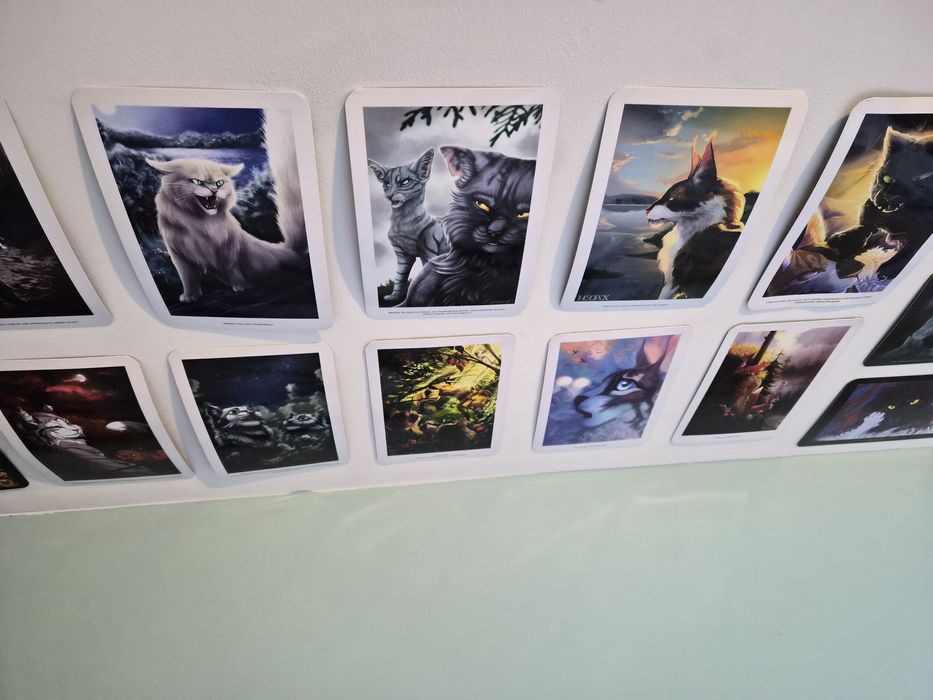 Sprzedam dodatki wojownicy Erin hunter