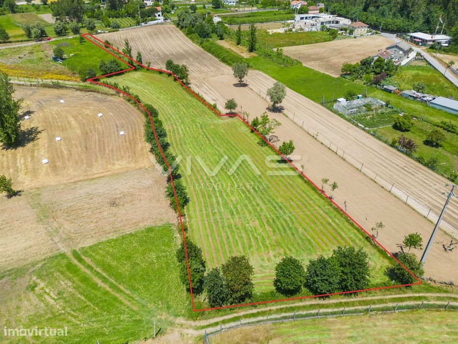 Land for Sale in Vila Verde and Barbudo, Vila Verde