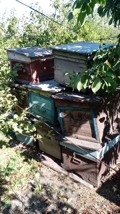 Вулики для бджіл вживані. Самовивіз.