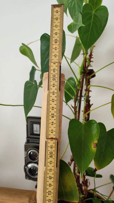 Toalheiro escada em bambu 190cm