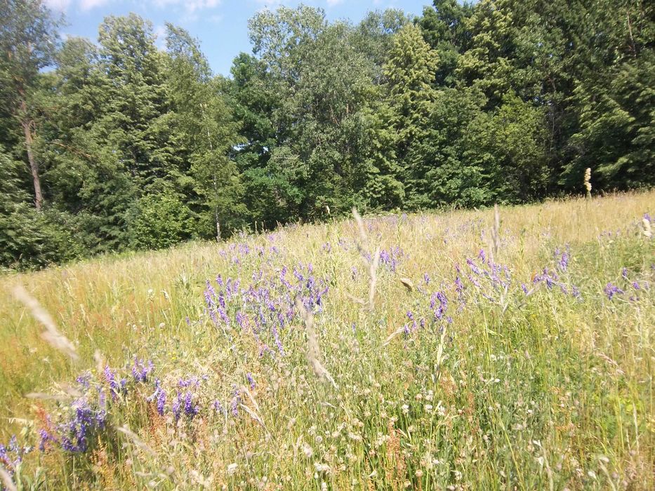 Продам приватизовану земельну ділянку