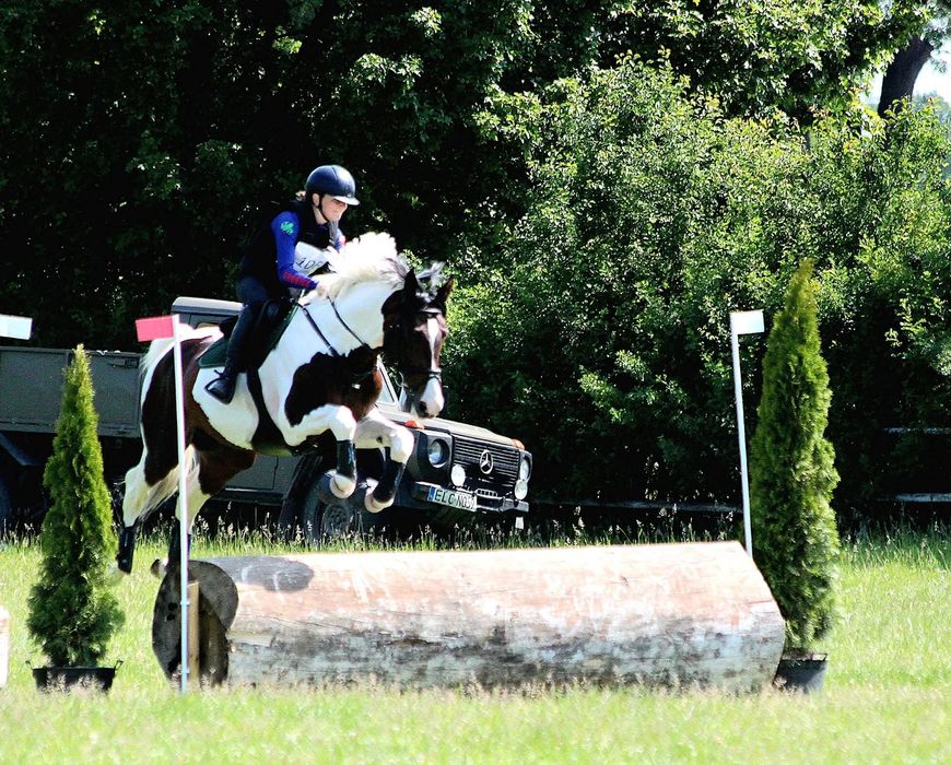 Stanówka. Ogier małopolski. Krycie