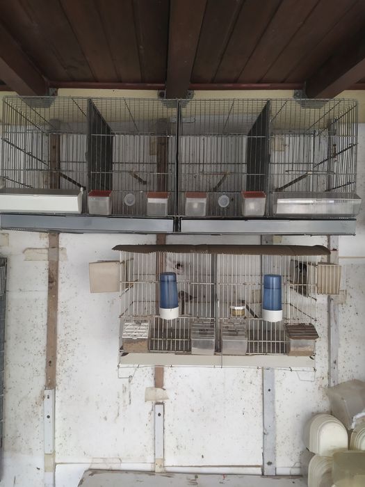 Gaiolas para pássaros