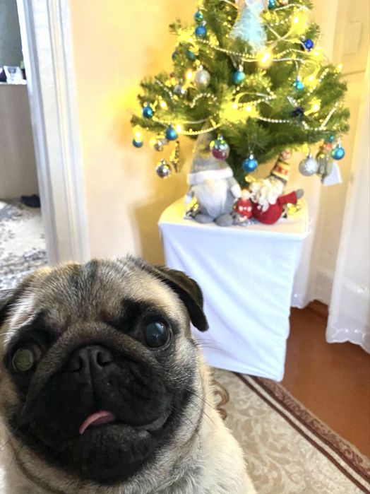 Штучна ялинка, ялинка з іграшками 75 см