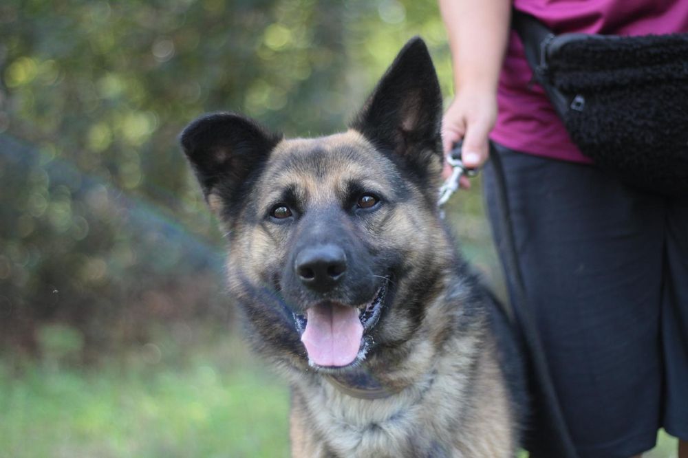 Maxym tak długo czeka, prosimy o dom