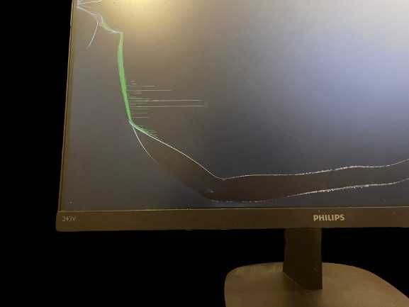 Uszkodzony Monitor PHILIPS