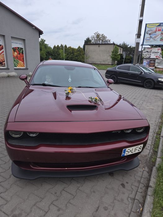 Wynajem, Dodge challenger 5.7 hemi do ślubu, sesje ,kierowca