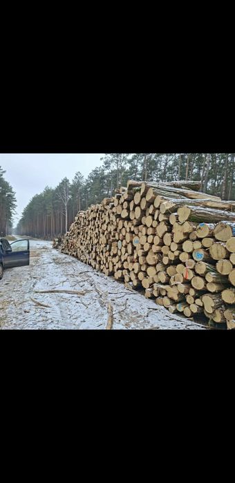 Drewno stosowe: grab,akacja,jesion S2a