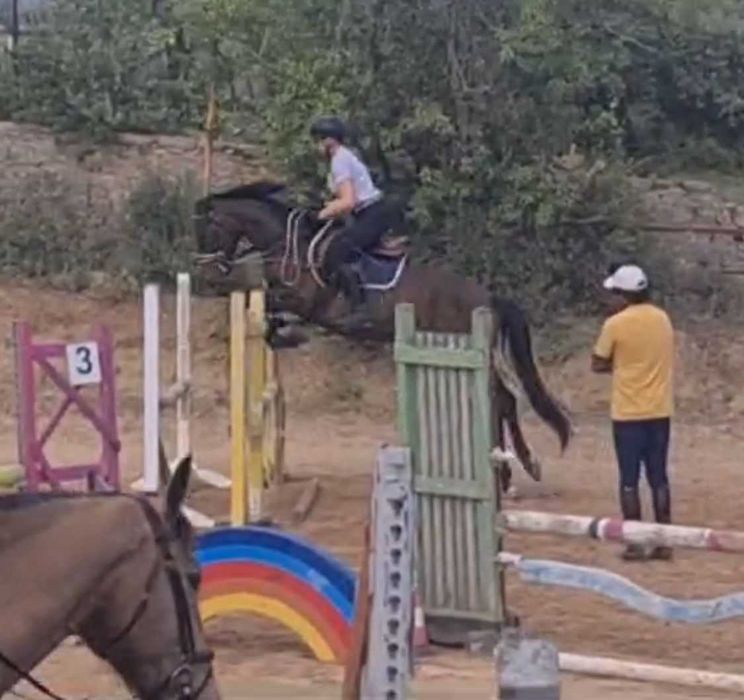 Égua muito mansa e bem treinada no Algarve