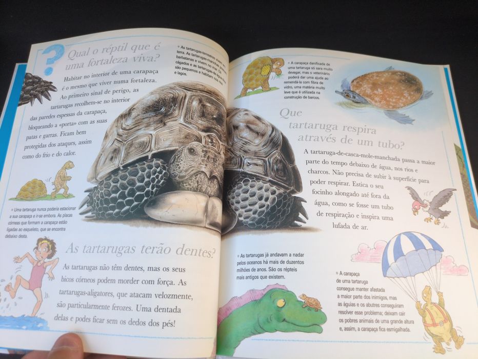 Porque Será Que as Cobras mudam a pele