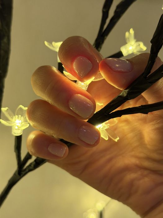 Манікюр від 450 грн