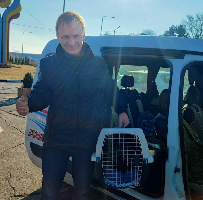 Перевозка кошек и собак через границу и по территории Украины