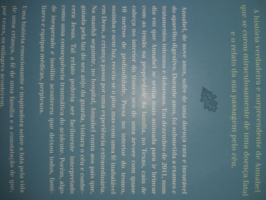 Livro Milagres do céu