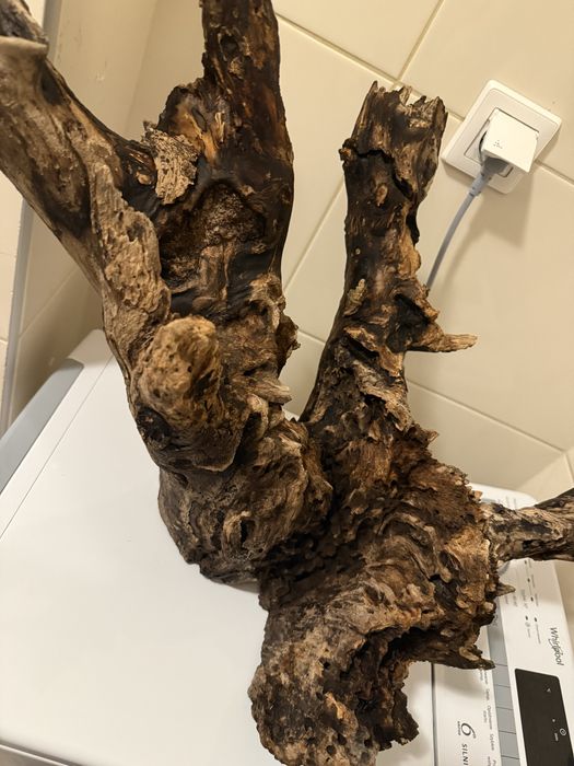 Korzen do terarium/akwarium