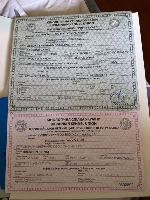 Вʼязка німецькоі вівчарки