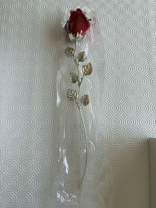 Rosa vermelha Bagutta
