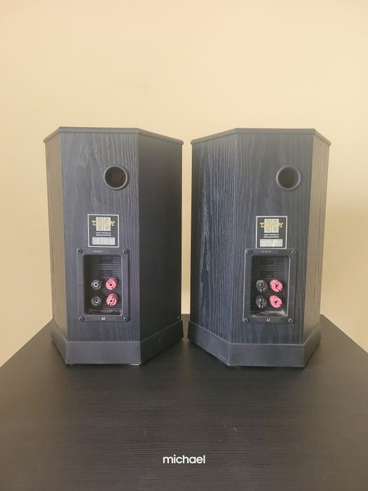 Tannoy 605(audiofilski monitor)r