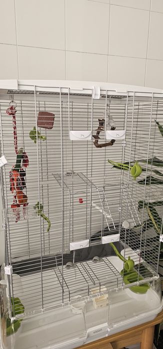 Vendo gaiola de pássaros vission