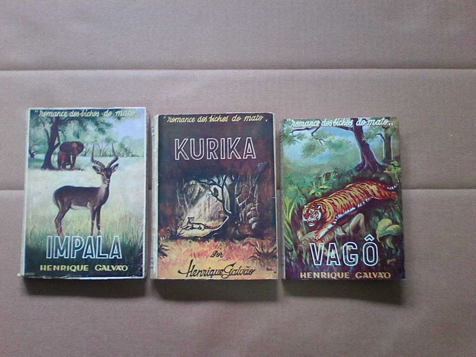 Romances dos bichos do mato -  conjunto
