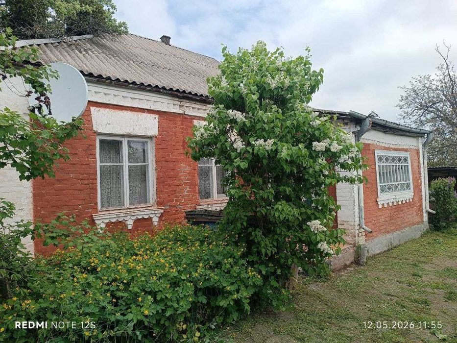 Продаж будинку в Ставище Київська юбл.