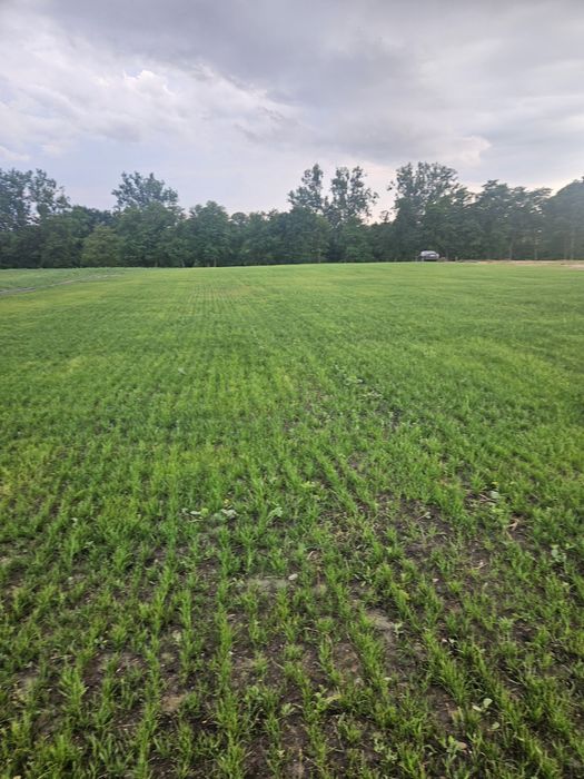 Działka PREMIUM nad Jeziorem z Własną Linią Brzegową | 3500 m²