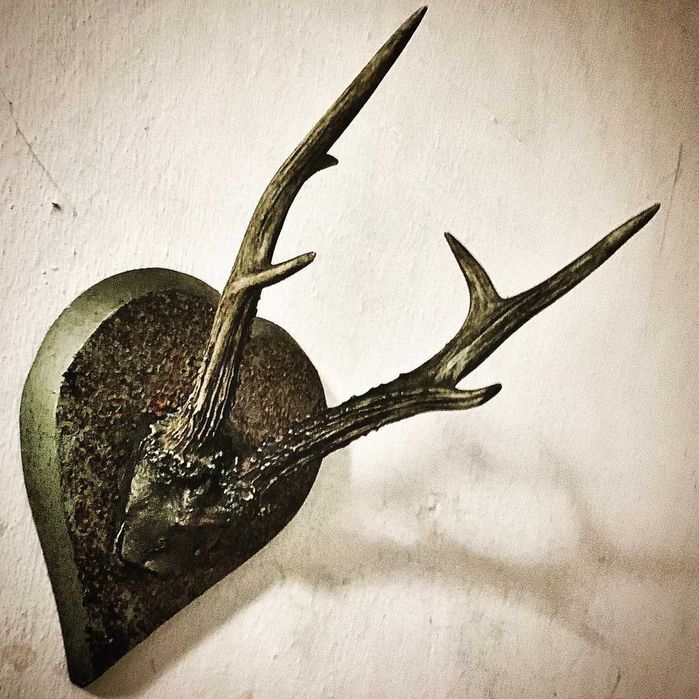 Настенные Рога Разных Диких Животных