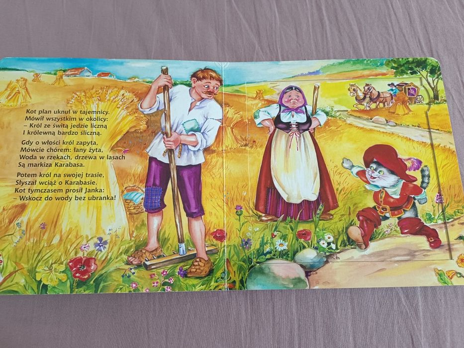 Kot w butach książeczka