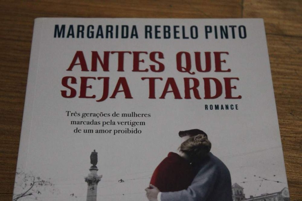 Antes que seja Tarde (Margarida Rebelo Pinto)