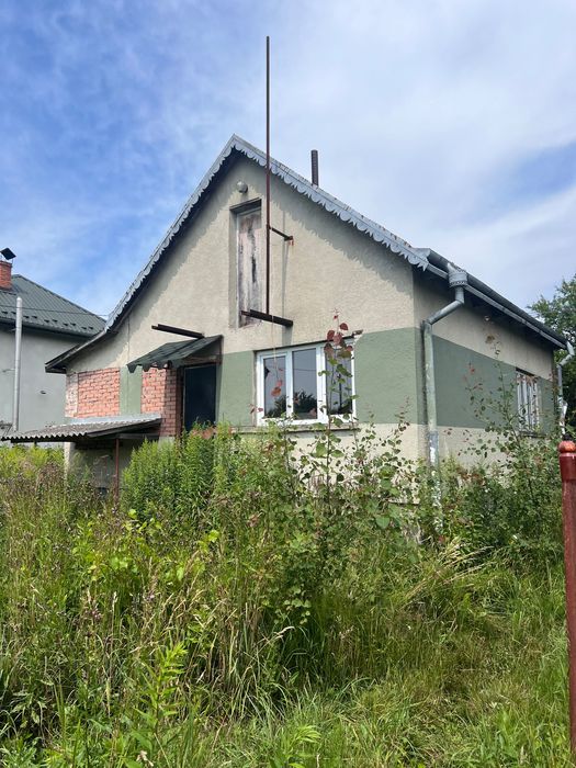 Продаж будинку Велика Калинка і земельної ділянки