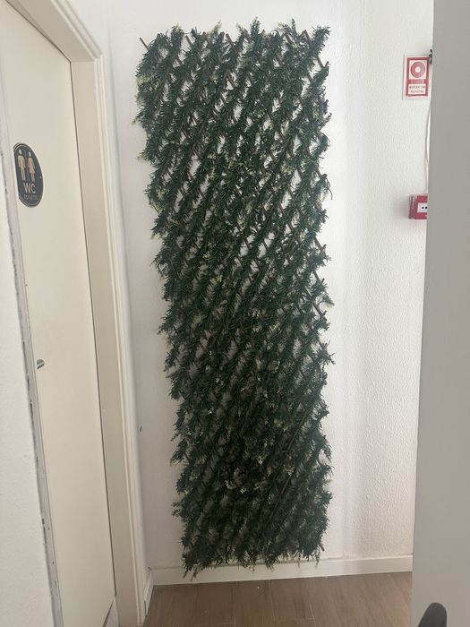 Jardim vertical de parede em excelentes condições