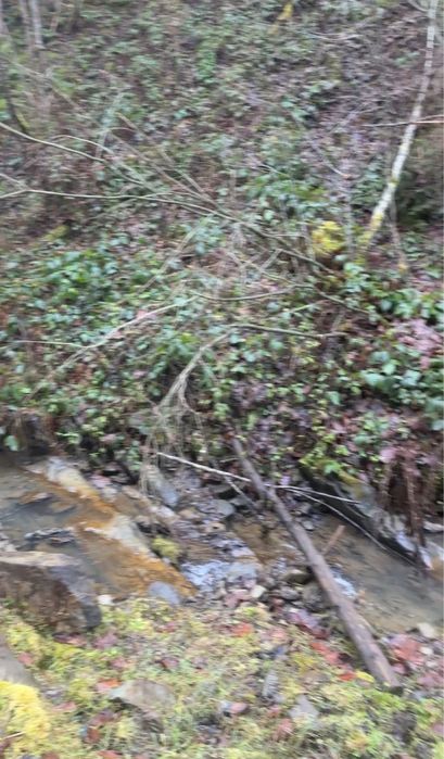 Приватна діоянка межує з лісом та струмком .