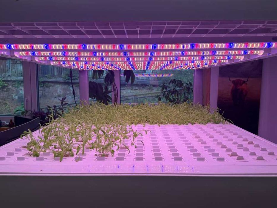 Szafa hydroponiczna do upraw wertykalnych SANANBIO RADIX Vertical Hydroponic Module 4-warstwowa led farm