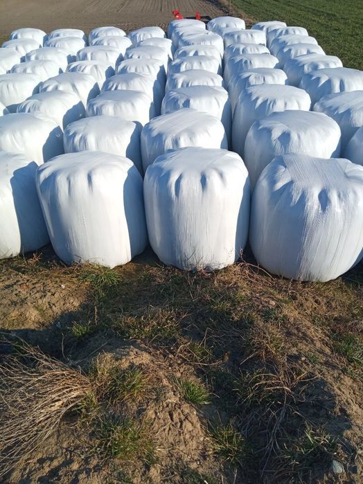 Baloty sianokiszonki