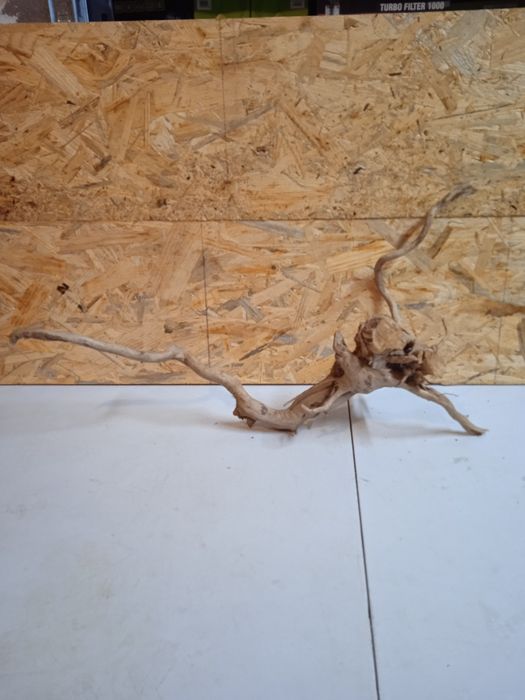 Korzeń do akwarium Red Moore Wood nr 63 o wymiarach 54/24/22