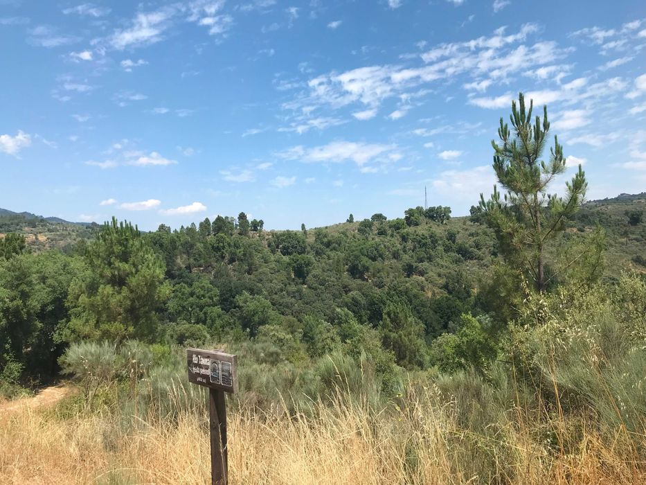 Conjunto de Terrenos Rústicos e Urbanos para Venda