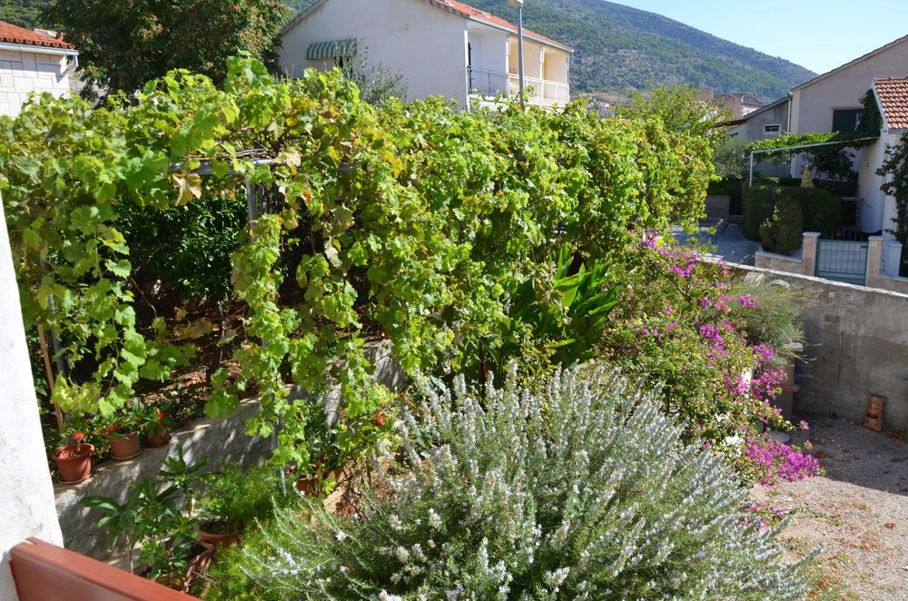 Chorwacja apartamenty i pokoje na wyspie