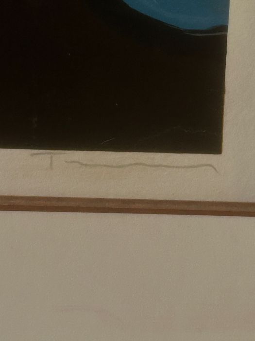 Quadro Itzchak Tarkay - Serigrafia Assinada (Moldura Suíça)