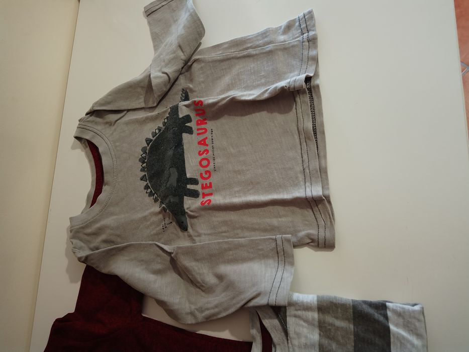 Lote 4 t-shirt manga comprida 86cm