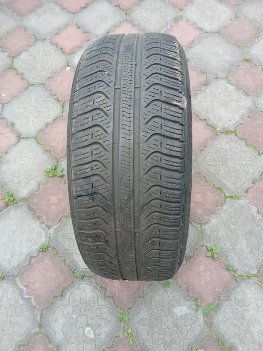 Віддам безкоштовно