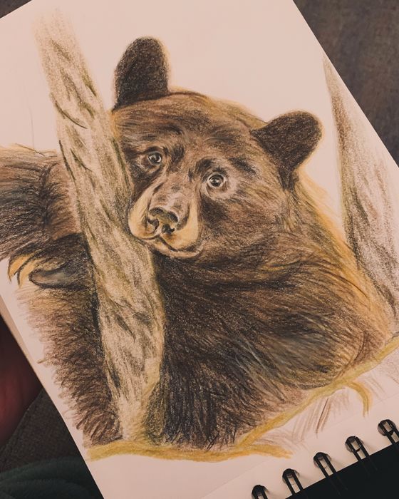 Retratos e ilustrações a preto e branco ou a cores