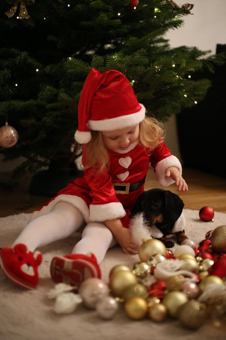 Шикарні чорнопідпалі таксята