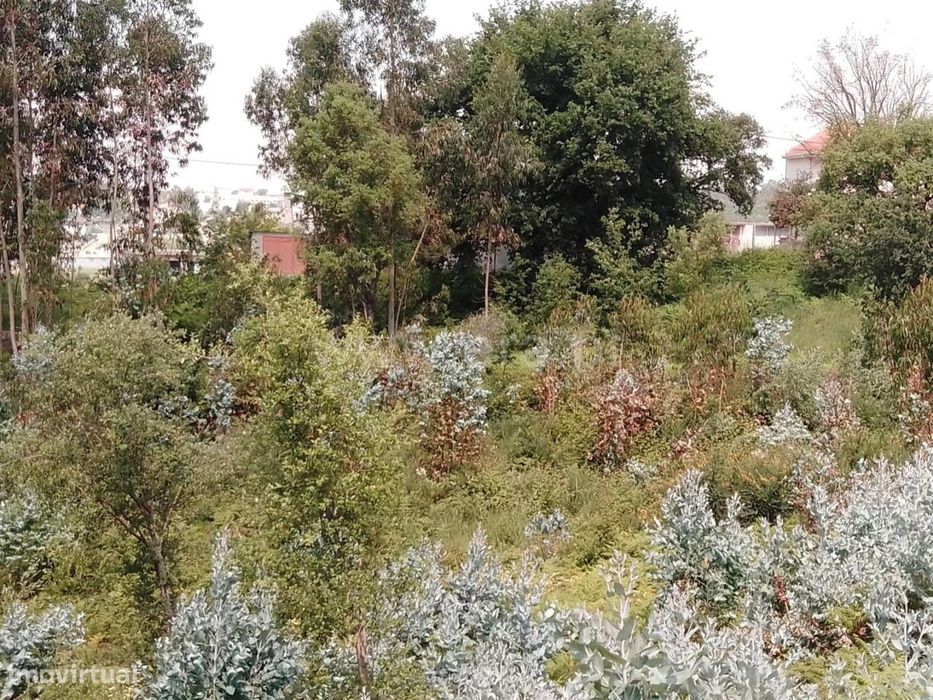 Terreno para construção em Rebordosa - Paredes