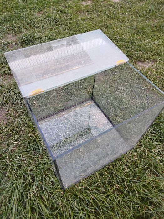 Terrariu Szklane