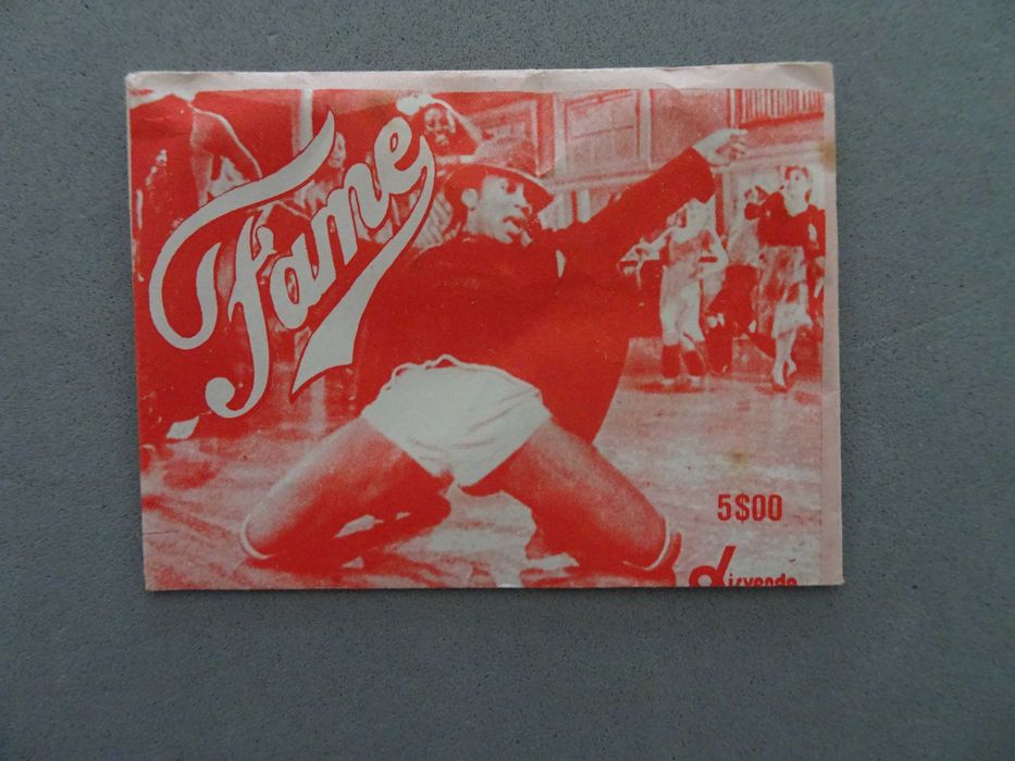 Carteira de cromos fechada Fame - Disvenda