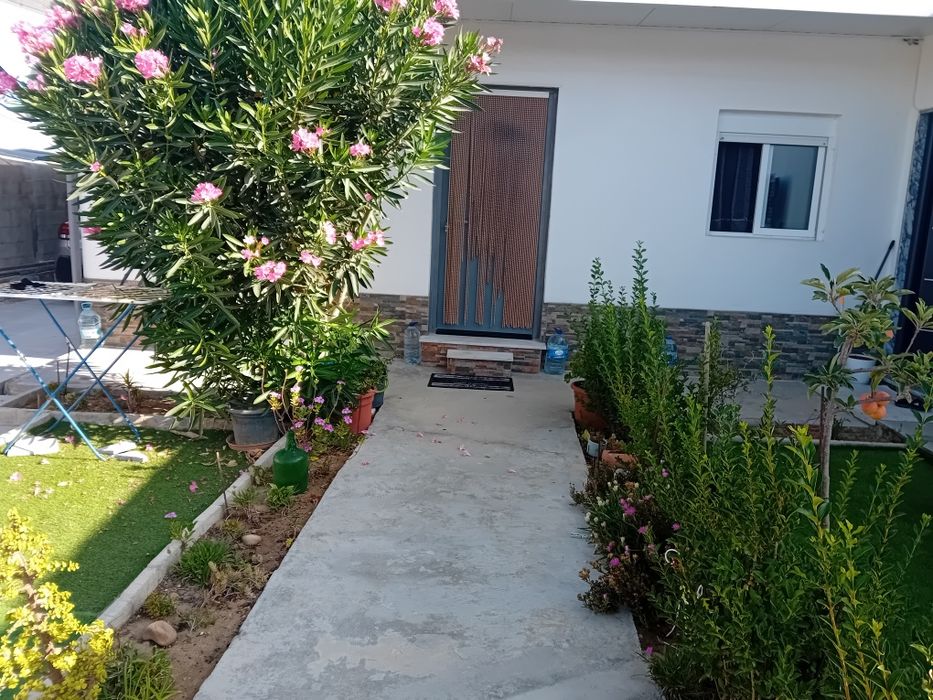 Quatros para alugar na Quinta do Anjo.s
