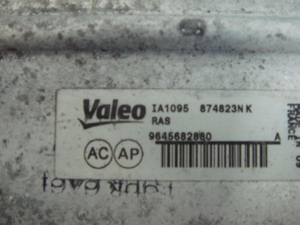 Radiador do intercooler CITROËN C5 II Break (RE_)