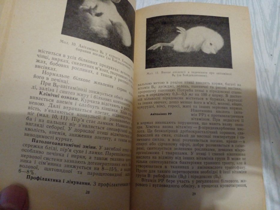 Советский справочник по лечению птиц