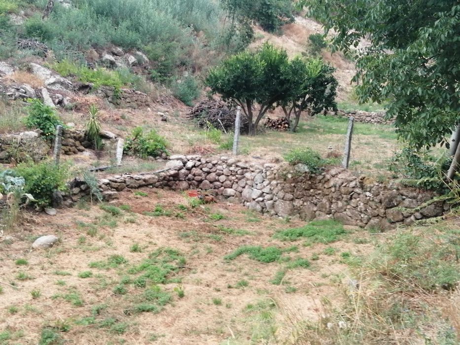 Terreno em santa marinha do zezere